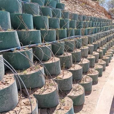 坡面绿化土工格室价格