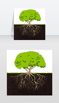 森林与生态环境 视觉素材与绿色材料的和谐交响