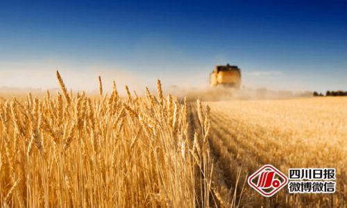 江安人注意！10月新规来袭，这些生态环境变化与你息息相关